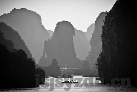 av麻豆-AV麻豆，当代流行文化中的特殊现象与反思