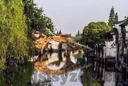 精品国产1000部91麻豆-精品国产，忍冬之梦——从1000部记事看麻豆的魅力与变迁