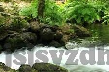 久久久精品国产亚洲av麻豆-探秘惊鸿，久久久精品国产亚洲av麻豆之——重新定义本土创意之门