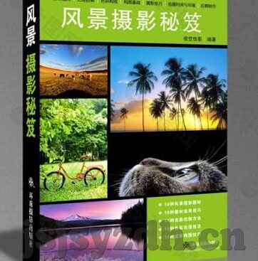 麻d国产传媒大象直播hd-麻d国产传媒大象直播hd，重塑娱乐新体验的探索