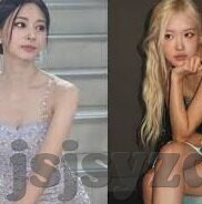 麻豆啊传媒app下载免费-探游多元媒体，麻豆啊传媒App的免费下载与体验之旅