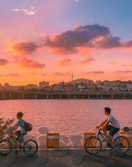 麻豆传媒视频资源下载-深度思考，网络时代内容共享与个人隐私的界限