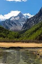 糖心免费版app下载-甜美馈赠——揭开糖心免费版App的神秘面纱